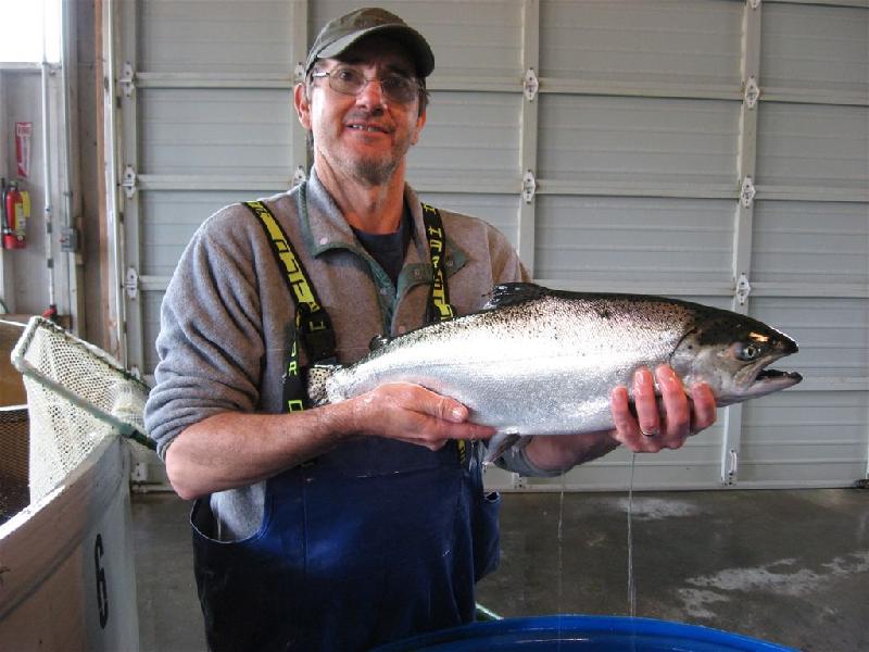 Natural Resources | Salmon Enhancement | Skookum Creek Hatchery