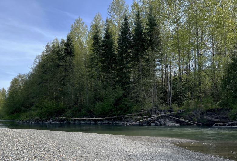 Close-up of channel and bank conditions